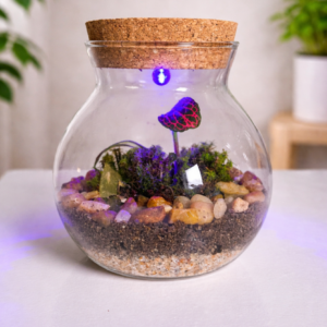 Terrário Iluminado